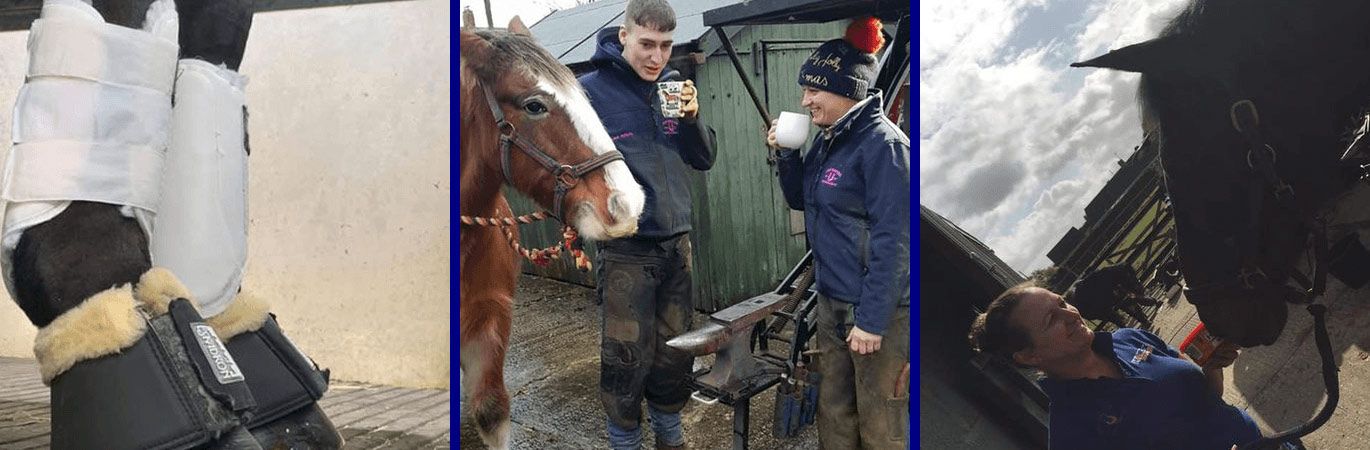 Abby Bunyard Farrier and Forge Ltd
